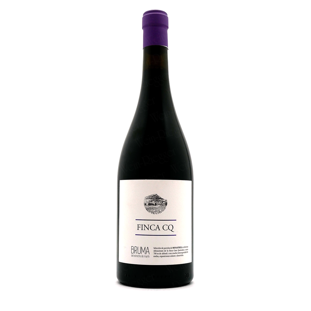 weinglas, weinflasche, flasche, bruma, finca cq