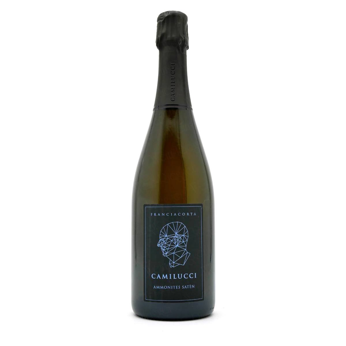 Ammonites SATEN Franciacorta Brut DOCG - Camilucci Ammonites SATEN Franciacorta Brut DOCG - Camilucci