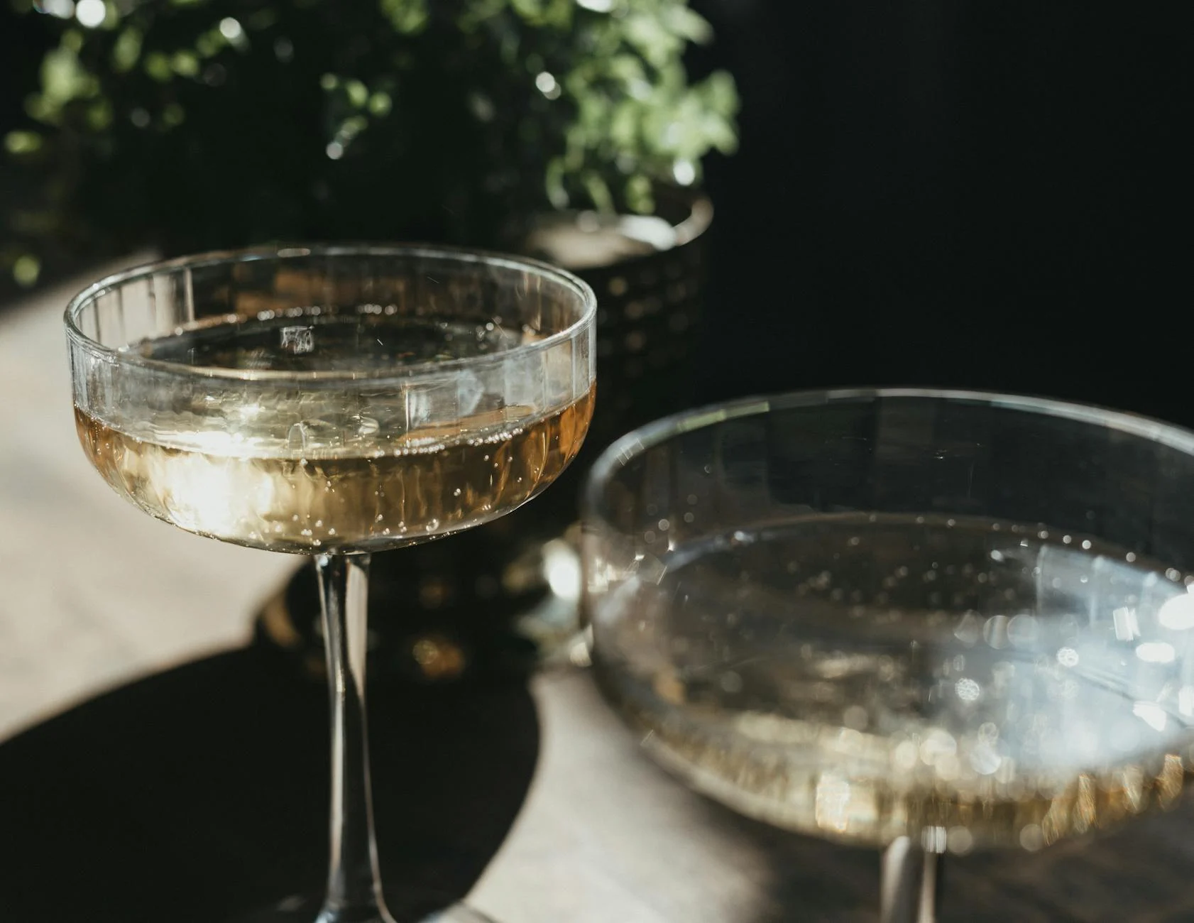 Food-Pairing mit Schaumwein – So machen Sie es richtig!