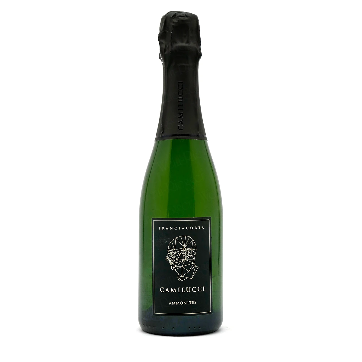AMMONITES Franciacorta Dosaggio Zero DOCG - Camilucci