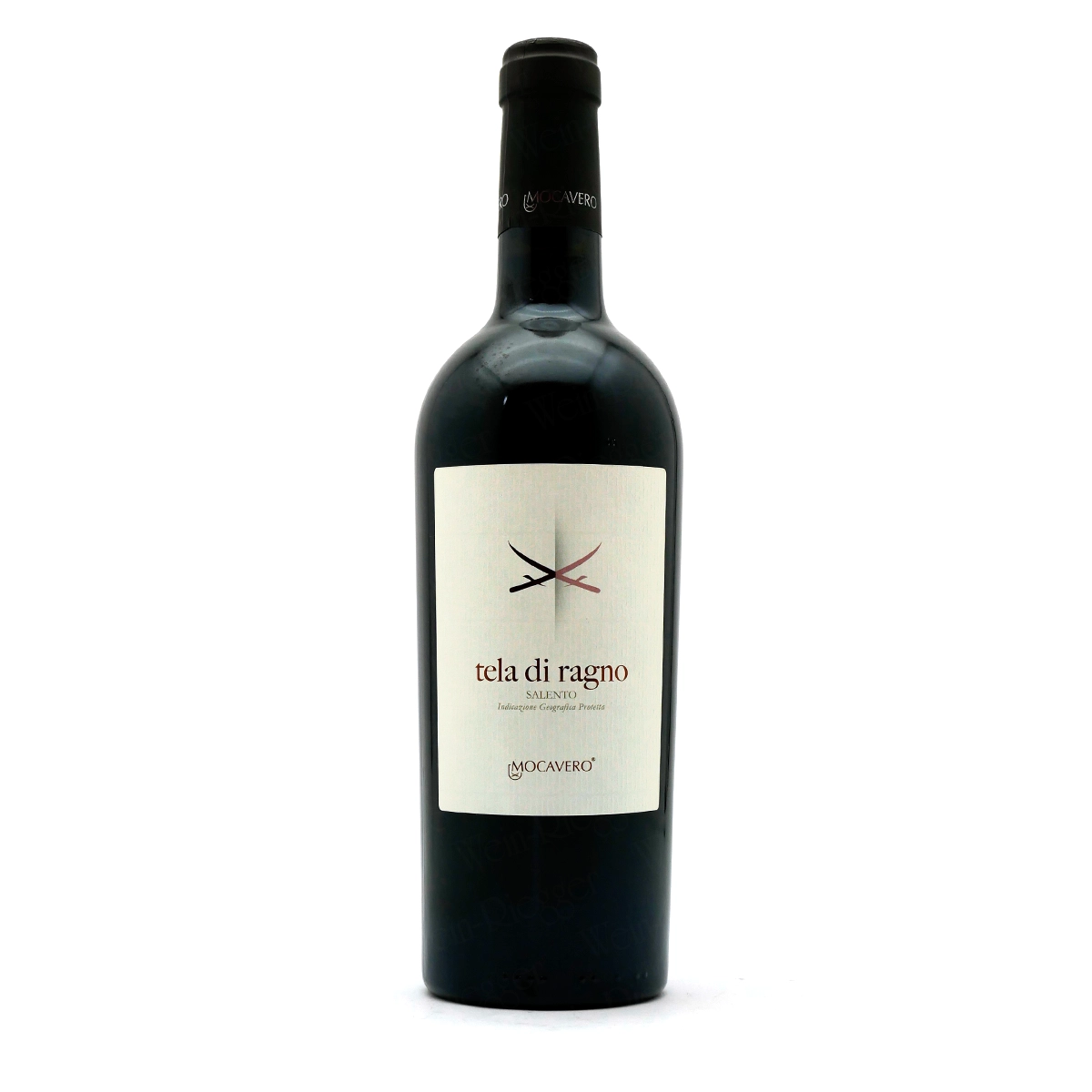 TELA DI RAGNO IGP Salento - Mocavero