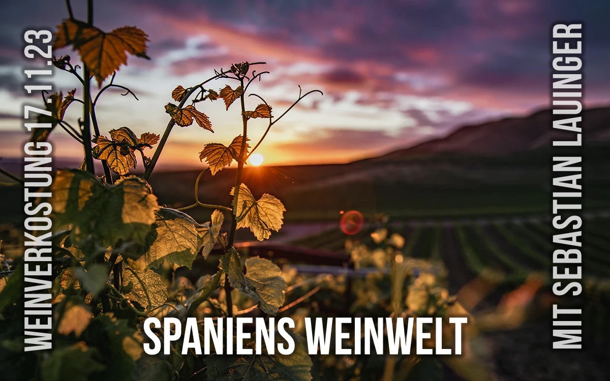 Spaniens Weinwelt