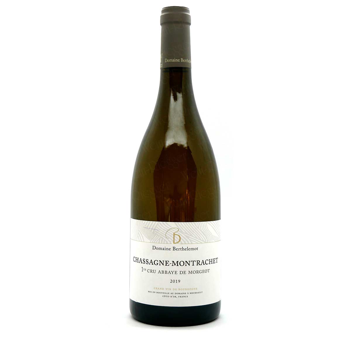 Chassagne-Montrachet 2019 1er Cru Abbaye de Morgeot | Domaine Berthelemot