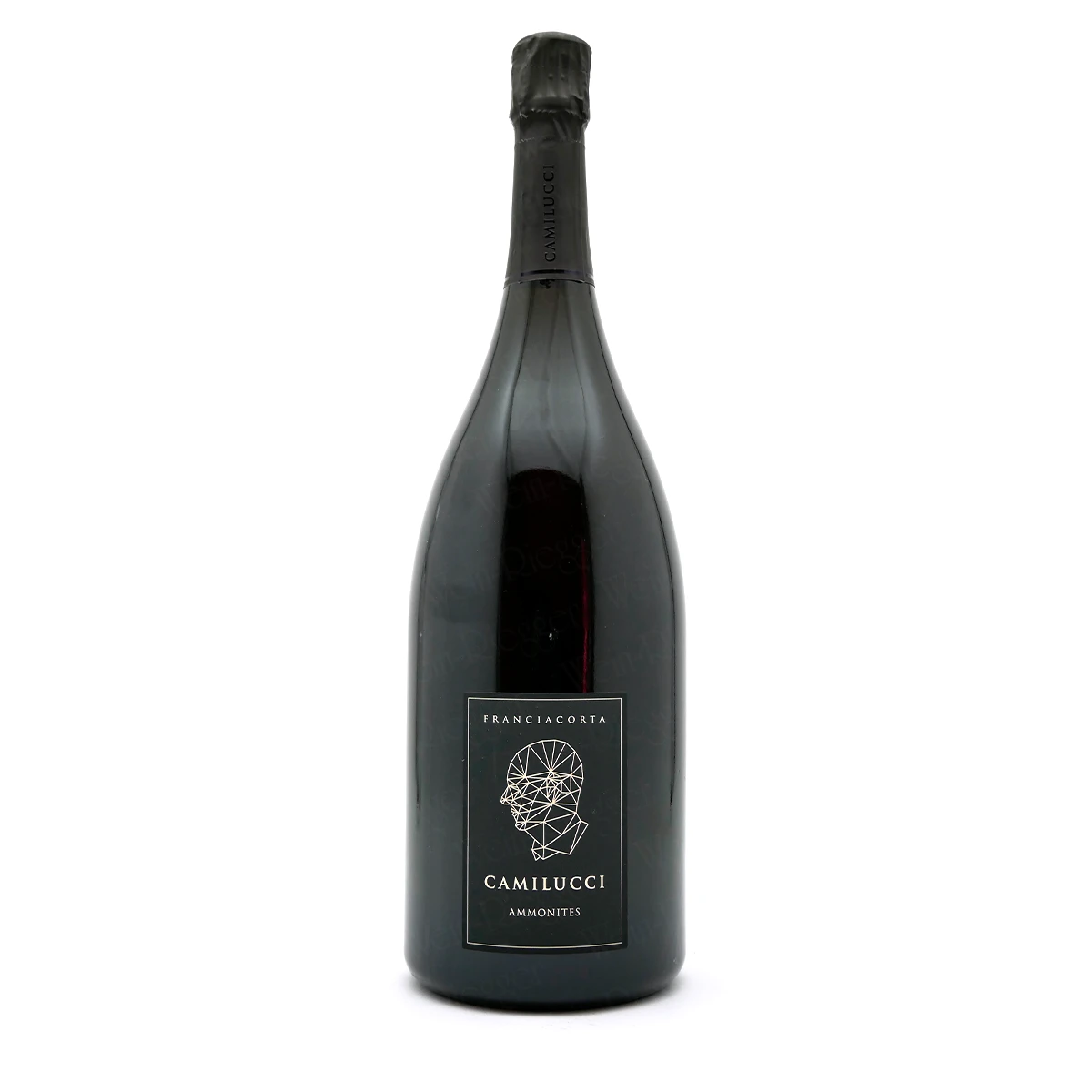 AMMONITES Franciacorta Dosaggio Zero DOCG - Camilucci AMMONITES Franciacorta Dosaggio Zero DOCG - Camilucci