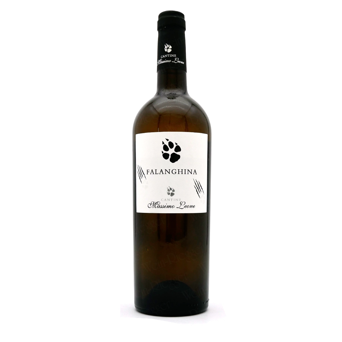 FALANGHINA IGT Puglia - Massimo Leone