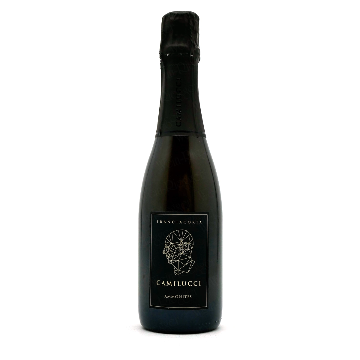 AMMONITES Franciacorta Dosaggio Zero DOCG - Camilucci