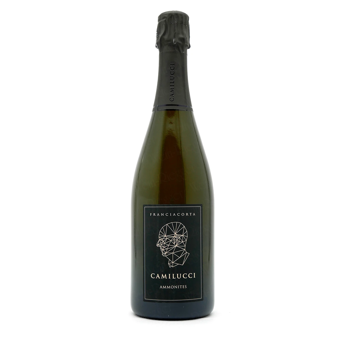 AMMONITES Franciacorta Dosaggio Zero DOCG - Camilucci