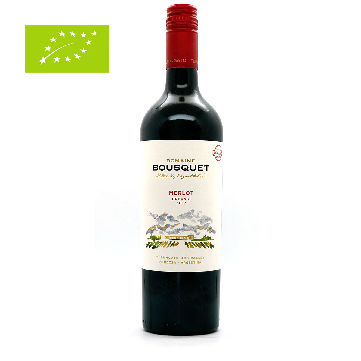 Bousquet | Merlot - Mendoza Argentinien