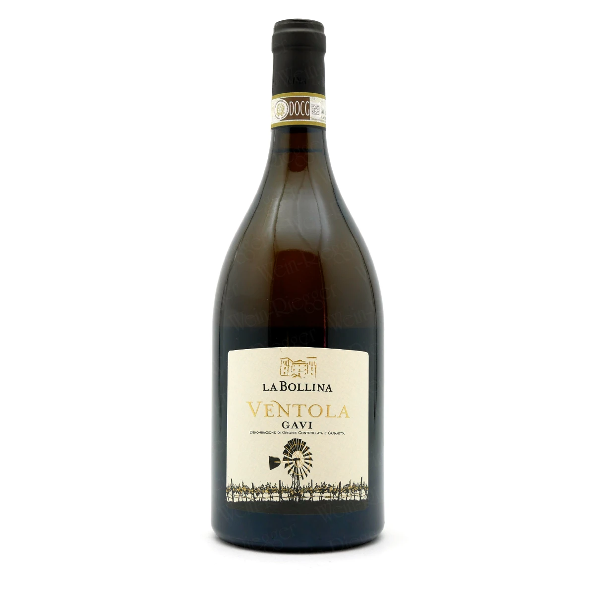 VENTOLA Gavi DOCG - La Bollina VENTOLA Gavi DOCG - La Bollina