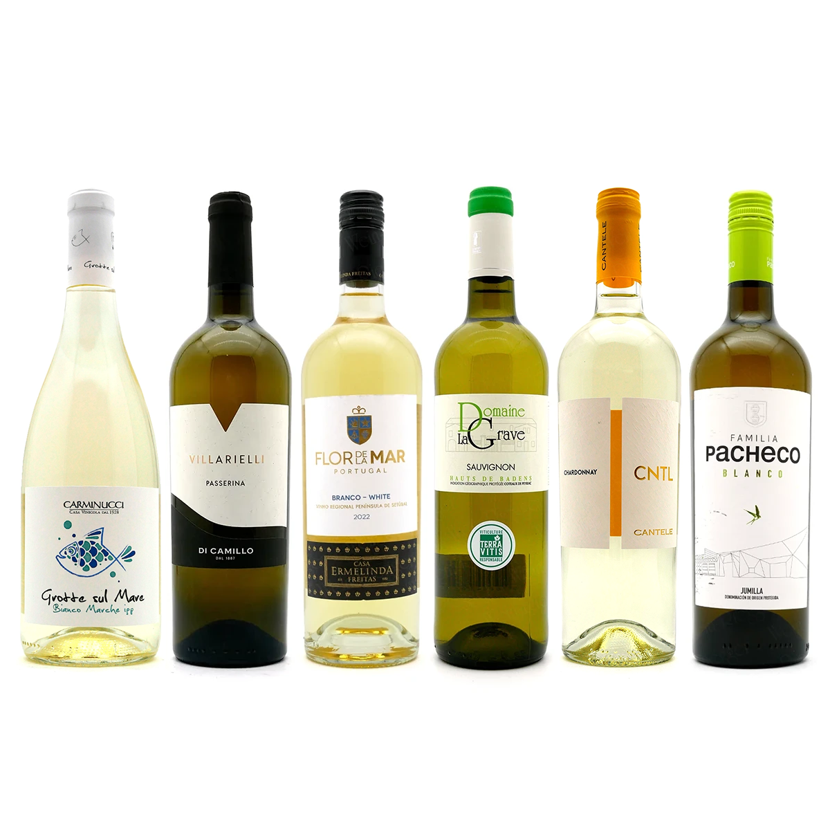 weisswein, weinflasche, flaschenserie, traubenweiss, portugal/italien mix