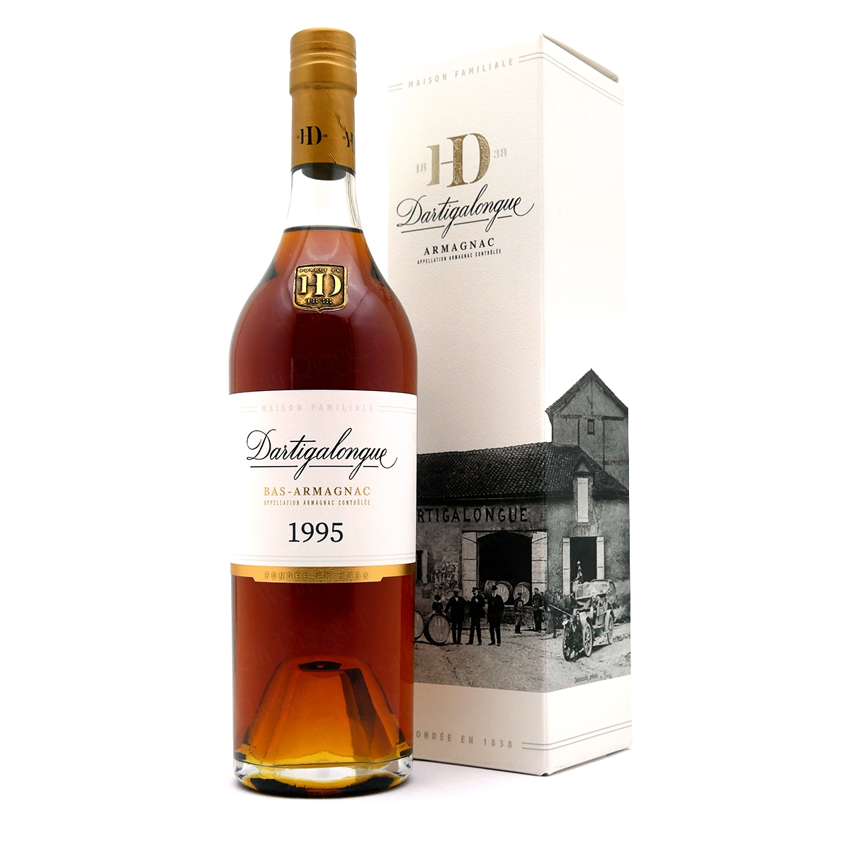 Dartigalongue, Armagnac, Brannt-/Brandyvary, 1995, Flasche